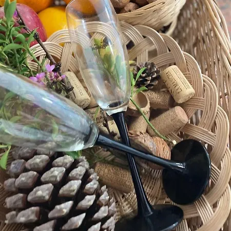 Amplia Casa De 9 Hab, Cabral.