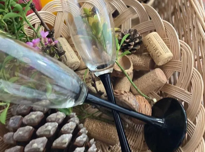 Amplia Casa De 9 Hab, Cabral.